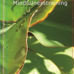 Mindful Yoga - Staand