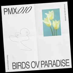 PMX010 | Birds ov Paradise