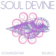 Soul devine (beach house mix)