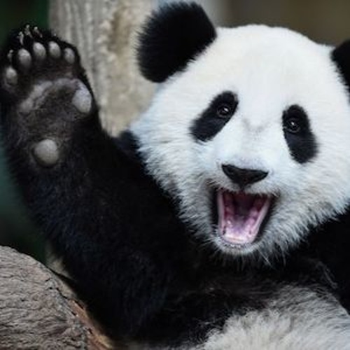 Real Nasty [clip] (FREE DOWNLOAD)