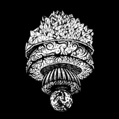 Obeah & Prynox - Fix Up Ft Rider Shafique