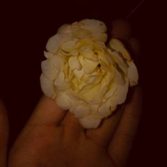 T O I K H O N G B I E T G I