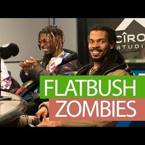 FLATBUSH ZOMBIES FREESTYLE ON FLEX