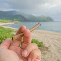 Feels Great - prod H.S. Big