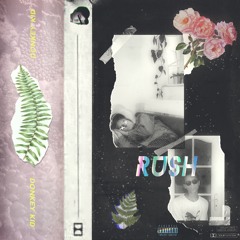 donkey kid - rush