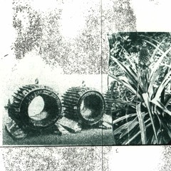 Detention - Magnetic Fields Protect The Prophet
