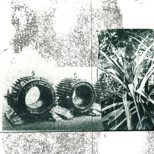 Detention - Magnetic Fields Protect The Prophet