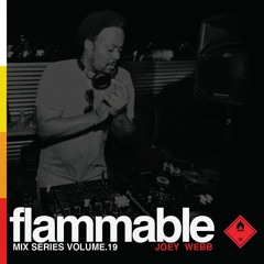 Flammable Mix Series Volume 19: Joey Webb