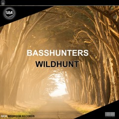 Basshunters - Wildhunt (Original Mix)