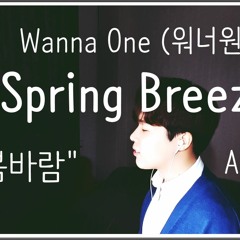 (Acoustic)Wanna One - Spring Breeze Cover