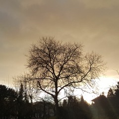 Alle Augen Auf Mich (prod. la loquera)