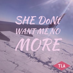 She Don't Want Me No More