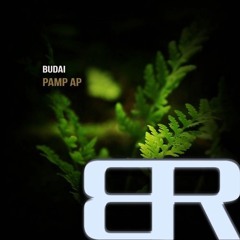 Budai - Pamp Ap (Original Mix)