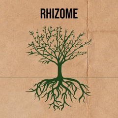 Rhizome
