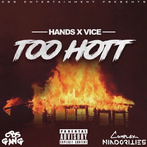 HANDS X VICE - TOO HOTT