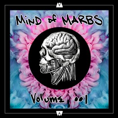 Mind of Marbs: Volume 001