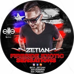 Fireside Exotic Sensation By Zetian