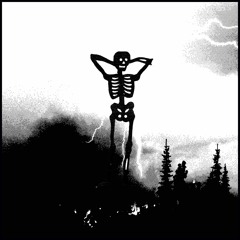 LOW KEY feat. Wicca Phase Springs Eternal (produced by Fish Narc)