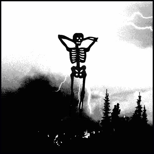 LOW KEY feat. Wicca Phase Springs Eternal (produced by Fish Narc)