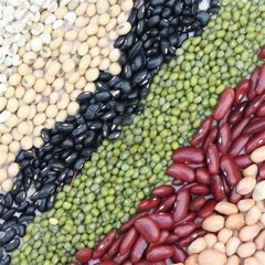 La Chona (hondureña Parodia). Javier Figueroa