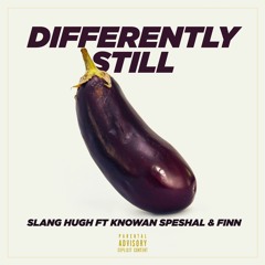 Differently Still Ft Knowan Speshal & Finn (Instrumental)