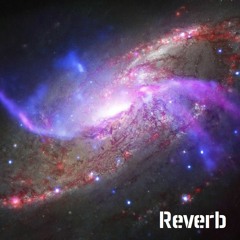Reverb 08