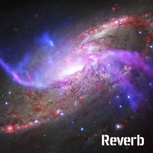 Reverb 08