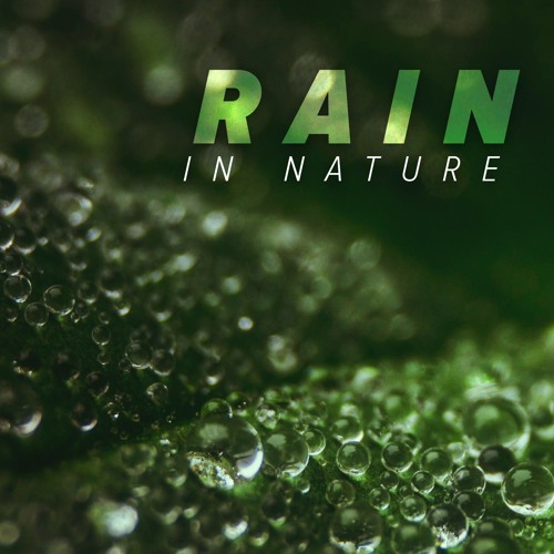 Stream Rain in Nature Sound Effect Library by Silverplatter Audio