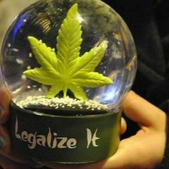 KicKstand Slim - SNOW GLOBE