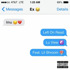Lu View Feat. Lil Shroom - Left On Read