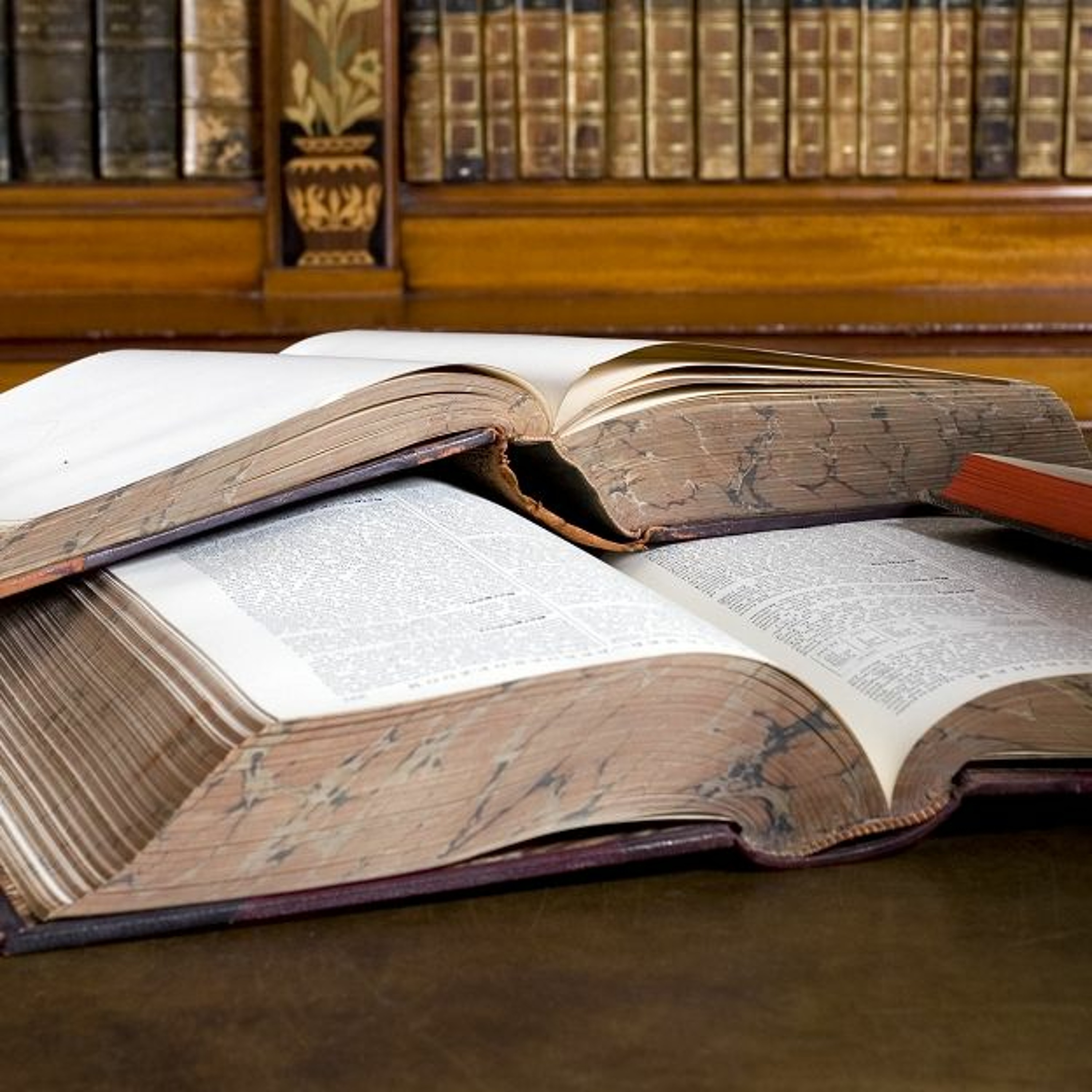 What Role Should Scholarship Play in Studying the Book of Mormon? 487