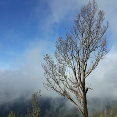 雨一直下 - Mưa rơi không dứt (Giang Hồ Band)