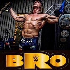 Hey Bro- Matt Riddle NXT theme