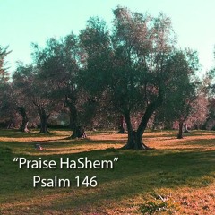 Hallelujah Praise HaShem (Psalm 146)