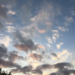 Hereditary - J.I.D (acoustic cover)