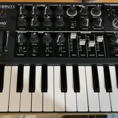 Arturia Microbrute Tests