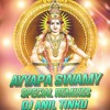 AYYA NINNU MARUVANU SONG REMIX BY DJ ANIL TINKU FROM BALANAGAR
