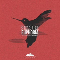 PREMIERE: Bross (RO) - Euphoria (Hot TuneiK Remix) [The Purr]