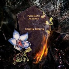Premiere : Regina Demina - Pyromane (Molecule Remix) [Kwaidan Records]