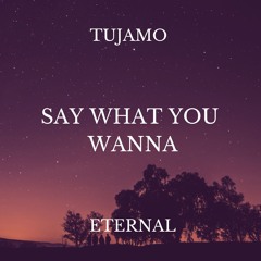 Tujamo - Say What You Wanna (Al1gn Edit)