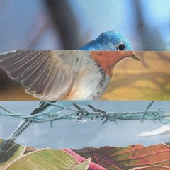 Moment D'égarement dans le Jardin des Cerfs