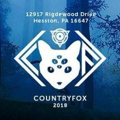 Countryfox 2018 - Day 1 - WRKNG HNDS