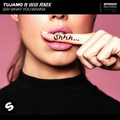 TUJAMO - Say What You Wanna(WillRMX)