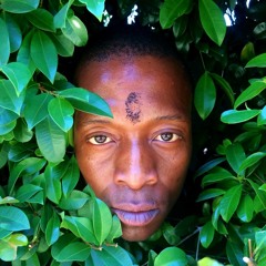 Rise (roots grown deep)