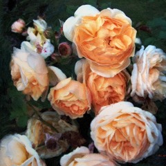 On Friendship (This Is For You)