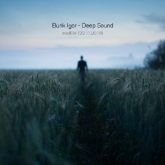 Deep Sound. Mix#34 (22.11.2018)