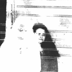 Shut Up You're Setting The Dogs Off