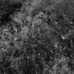 Clovvder - Traits - 02 Solipsismo