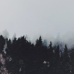 Sharktat - Solitude Mortelle