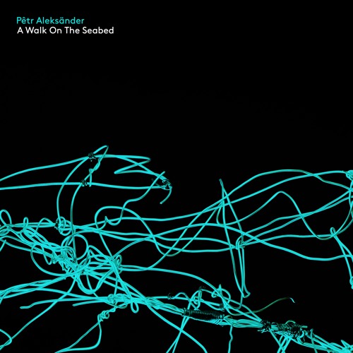 A Walk On The Seabed